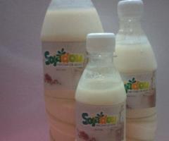 LAIT DE SOJA BIO NATURE